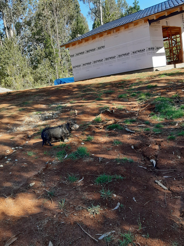 [Image: 20250309-165217.jpg]