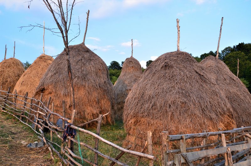 Distrito de Arges-7-8-2015 - Rumanía y sus pueblos-2015 (31)