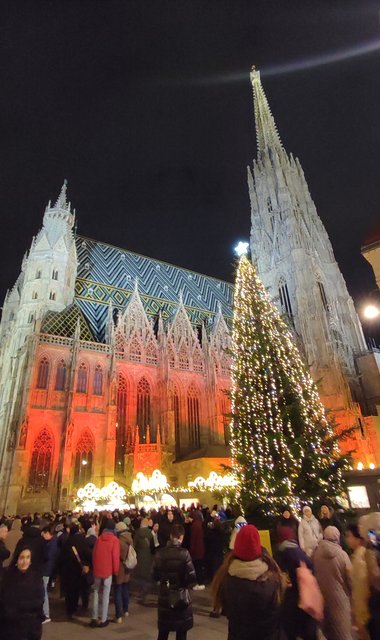 Adios Praga, hola Mercado del Ayuntamiento de Viena y concierto - Viena - Bratislava - Praga, Navidad 2024 (22)