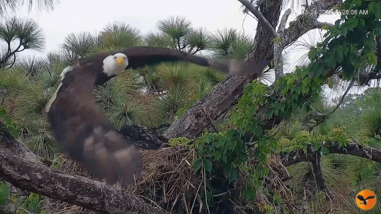 Webp.net-gifmaker (4)