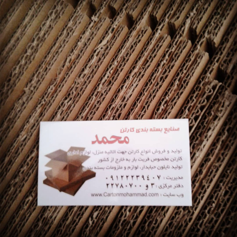 carton-mohammad (105)