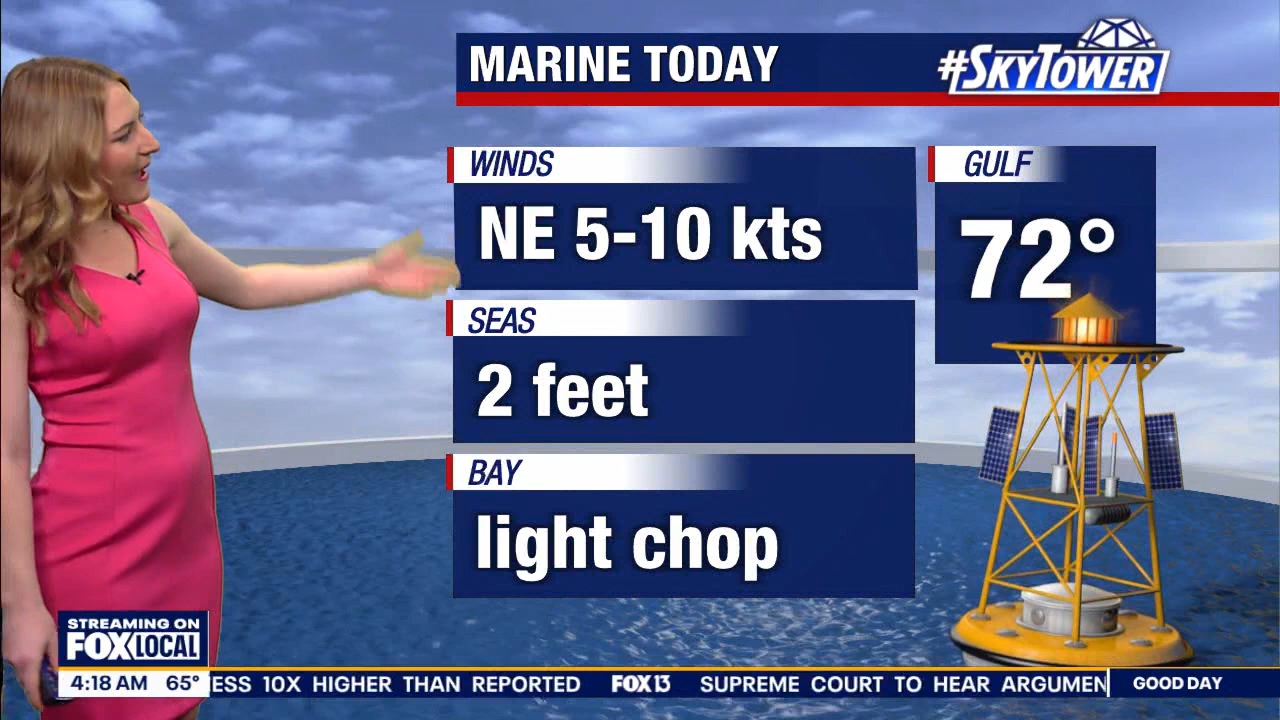 FOX13s Good Day Tampa Bay at 400am_20240307_09000930.ts_snapshot_19.50.467