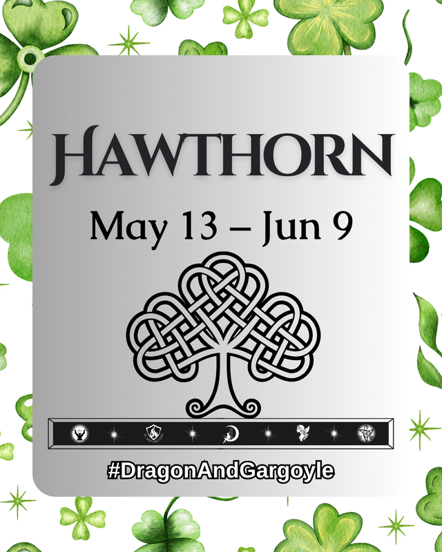 Hawthorn