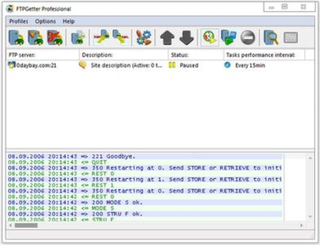 FTPGetter Professional 5.97.0.265 Multilingual Portable