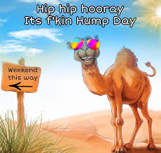 humpday