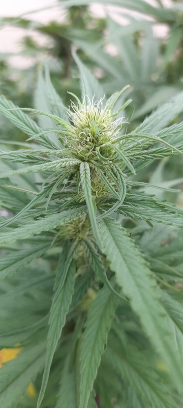 WhatsApp Image 2023-01-04 at 7.14.51 AM (2)