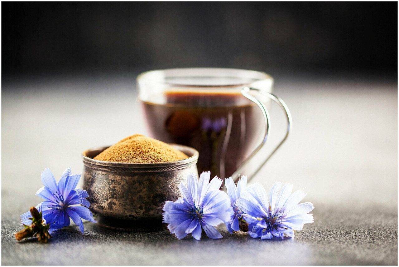 цикорий растворимый