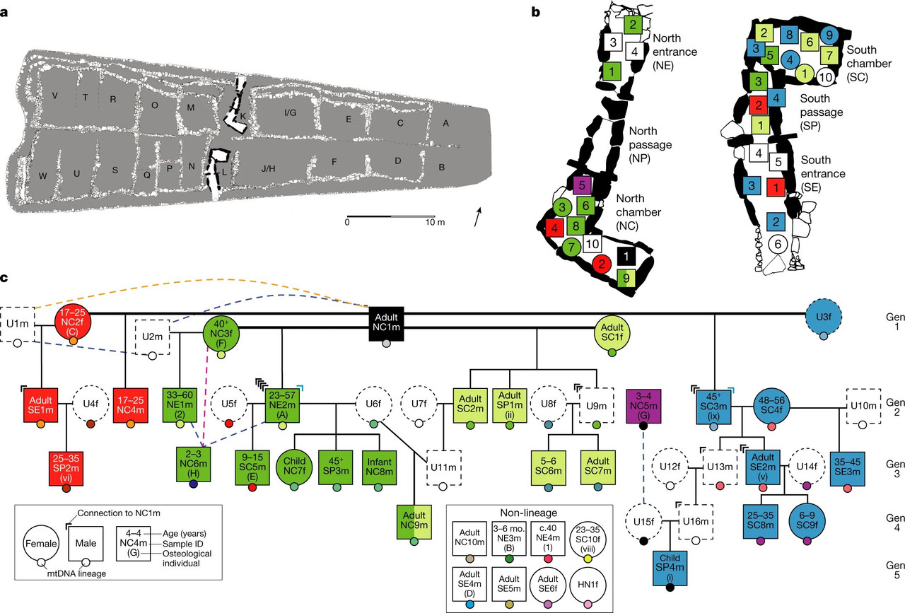 Placement of remains within the barrow