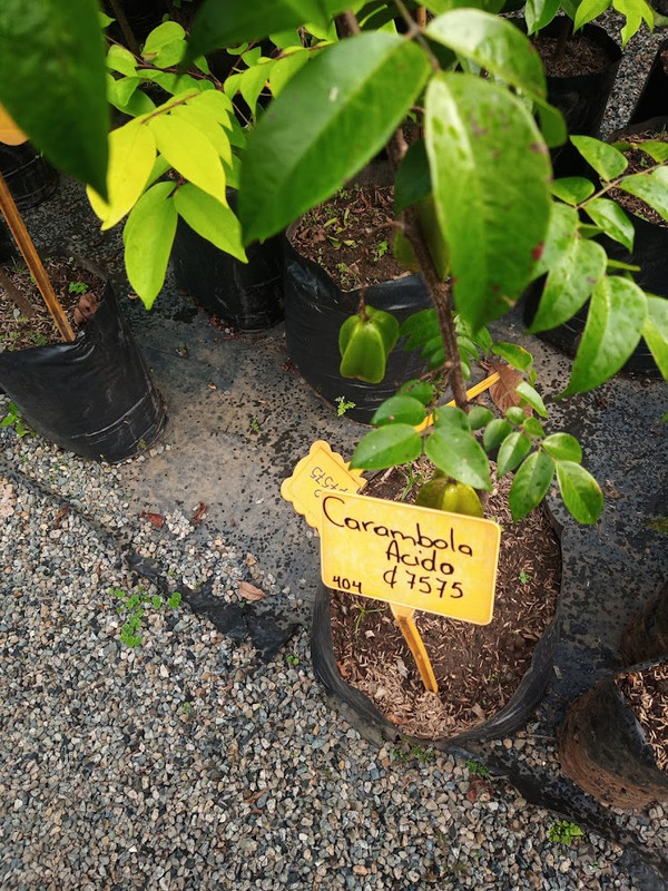 IMG_20221124_162211_279