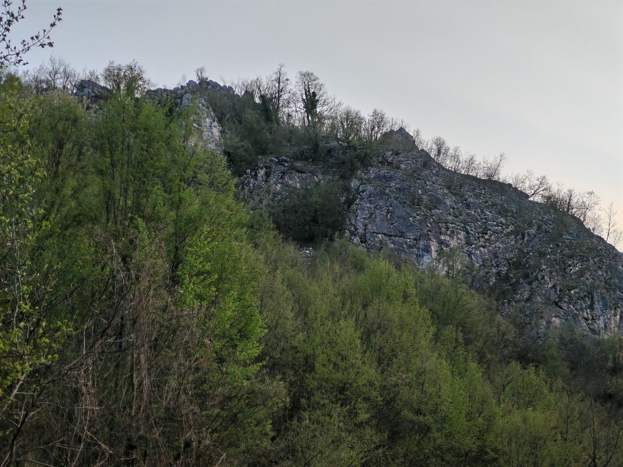 IMG 20260418 062947