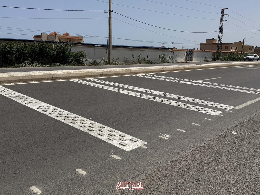 IMG-3297