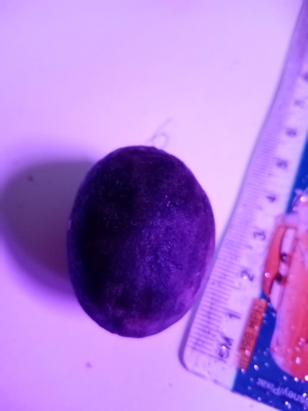 IMG-ce19ba7aa18fa8a010484446d1f73345-V