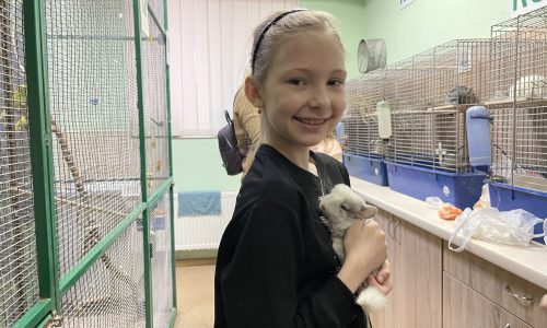 Догляд за тваринами