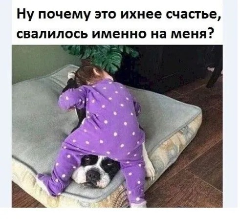 https://i.postimg.cc/Y26sr4rc/me-34.jpg