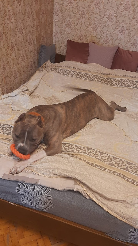 F246577C-30D1-4C54-A9F8-8D0ACFBB2E95