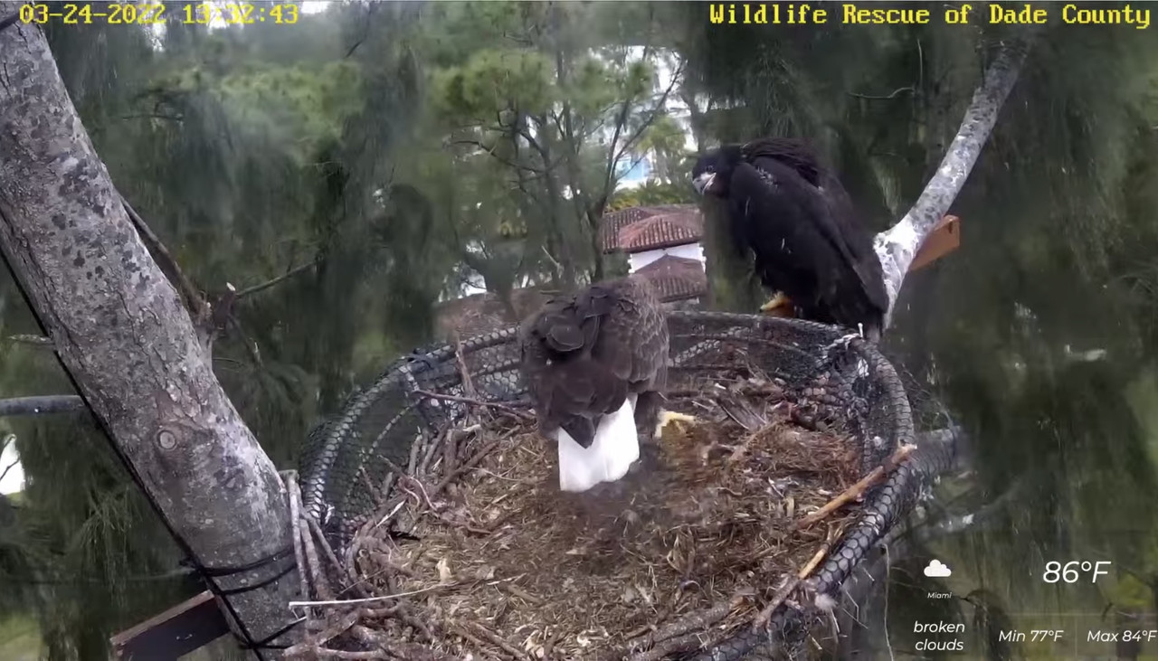 049E6C70-65CA-4C25-A749-6A3A3F21A61F