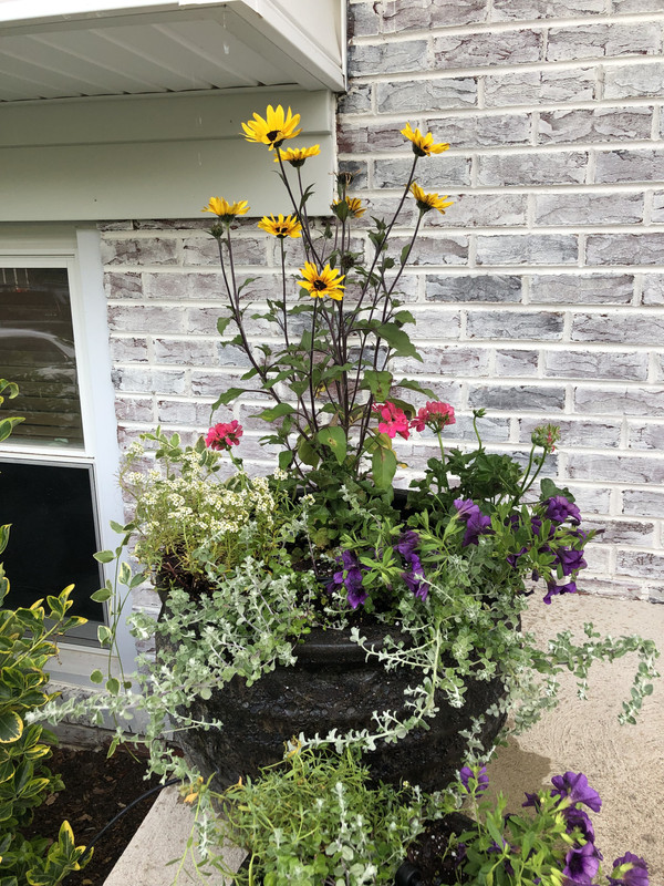 7CBAD31B-1404-424C-95B1-8661E6BB4165