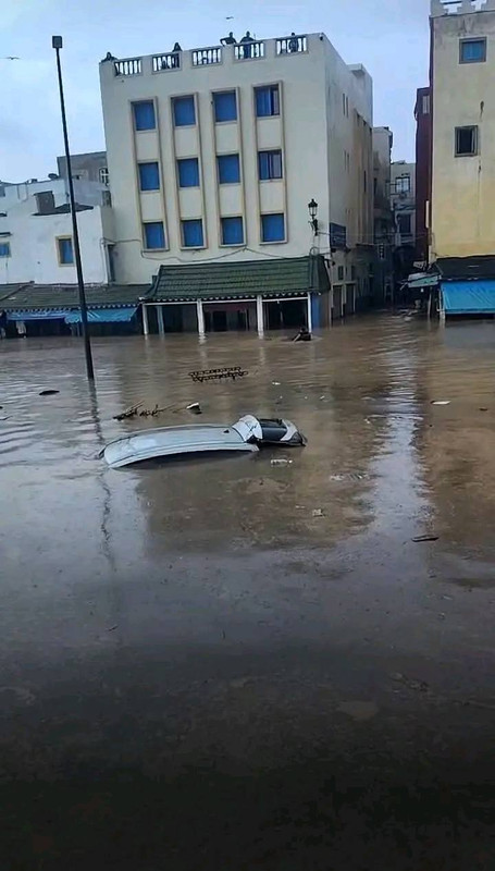 594417735-899732656059544-6502053909114822426-n