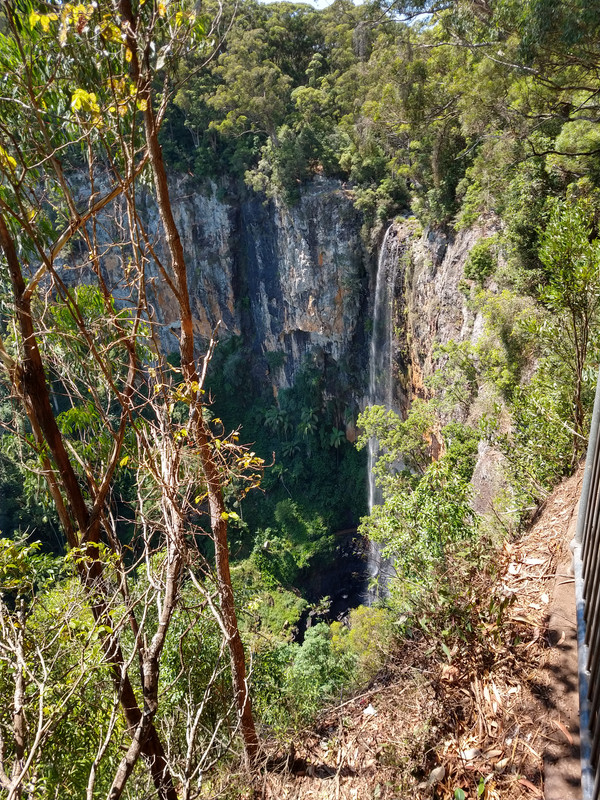 AUSTRALIA , "QUE GRAN PAIS" - Blogs de Australia - SPRINGBROOK NATIONAL PARK (1)