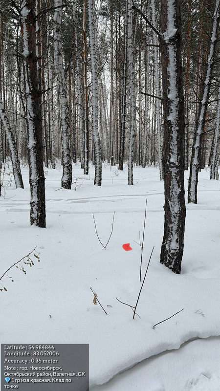 photo 2026 02 08 13 20 45