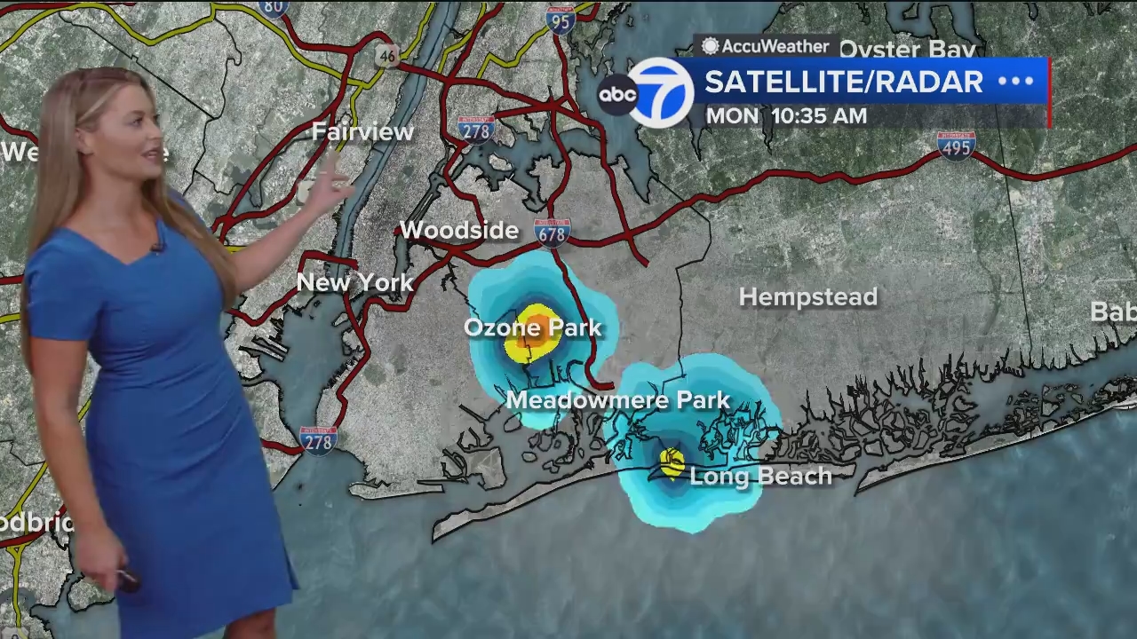 Eyewitness News Mornings at 10_20240826_15001600.ts_snapshot_00.51.04.218