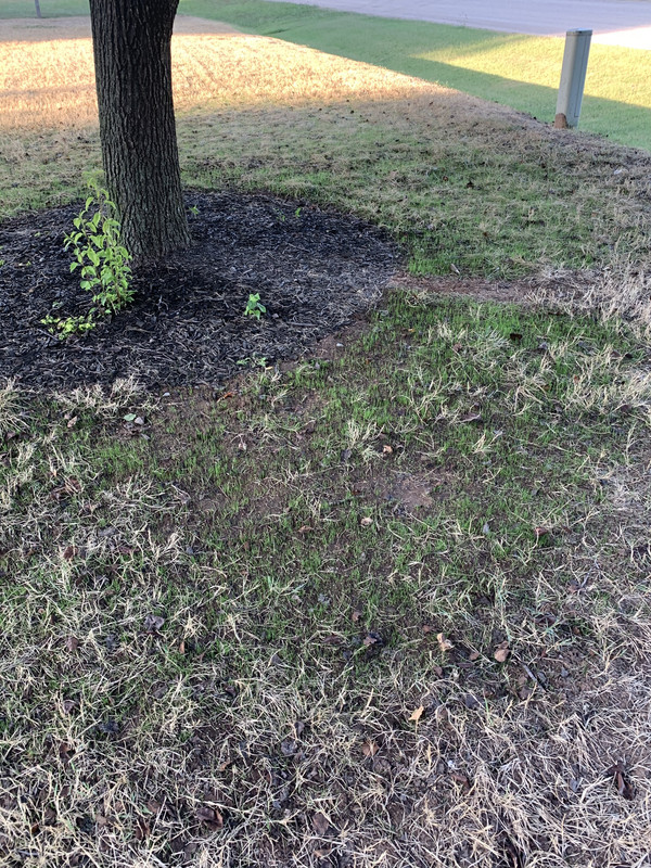 8EDB9BCF-D39B-450B-93BF-D7761E89F5FF