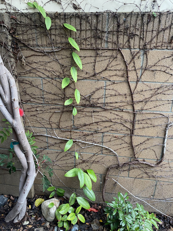 9C735DAE-49DF-44B3-AEDF-7ECFCB4E727D