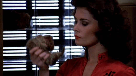 dianacobaye.gif