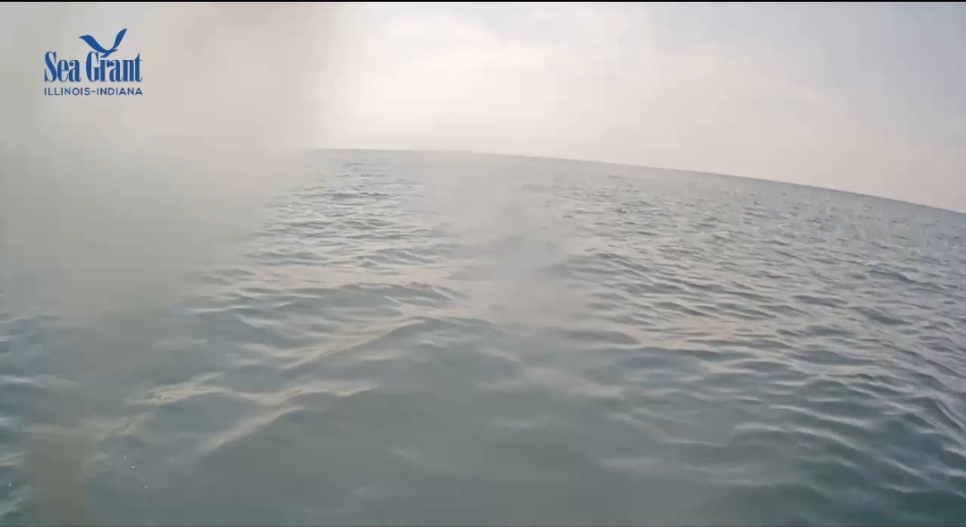 Screenshot_20240722_153115_Photos