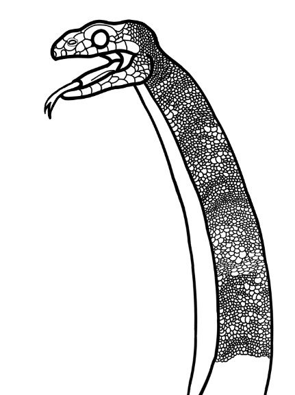 scales.png