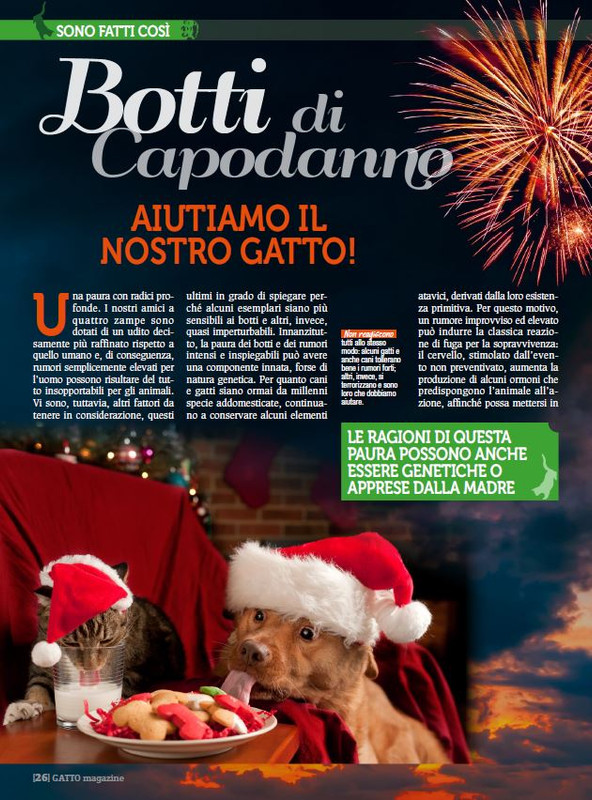 Ga Ma Dic 2017 - Gen 2018 (7)