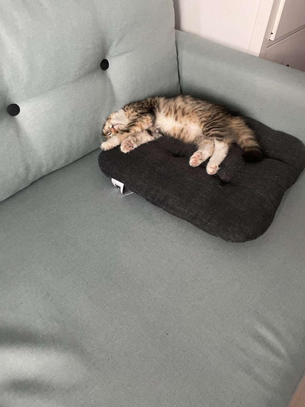 IMG-7c65db369b6ac72bc05e0cdcf5d4a327-V