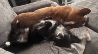 [Image: IMG-4649.jpg]