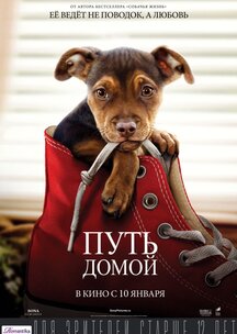 трейлер фильм интуиция () трейлер фильм интуиция