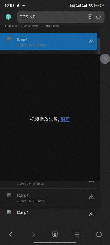 Screenshot_2024-11-14-19-56-28-978_com.android.browser