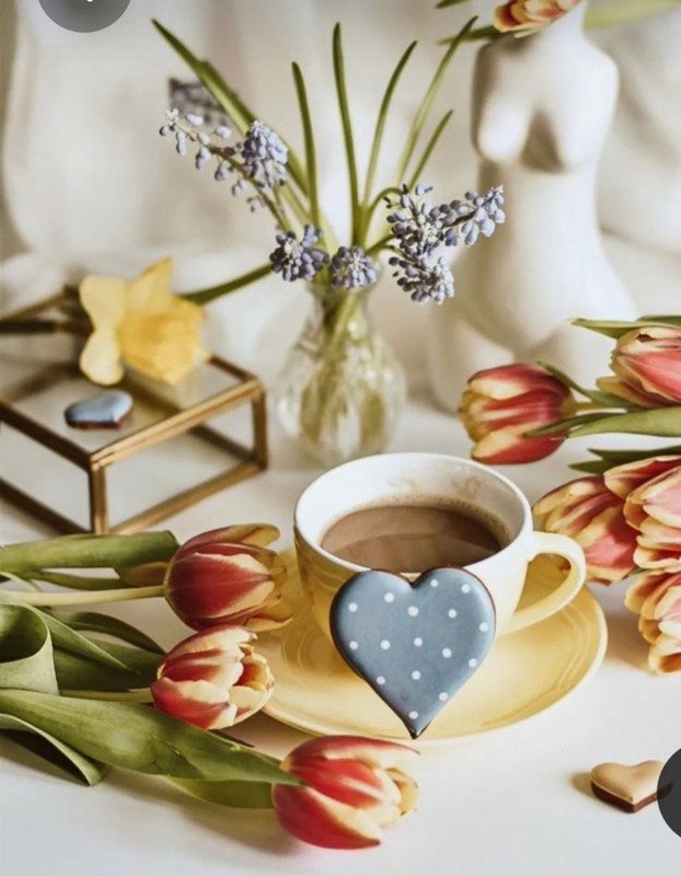 Screenshot_20230322_001036_Pinterest