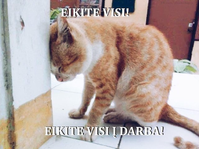 6-FA31-AEB-089-B-41-A4-9-CE6-5-B51268-AF