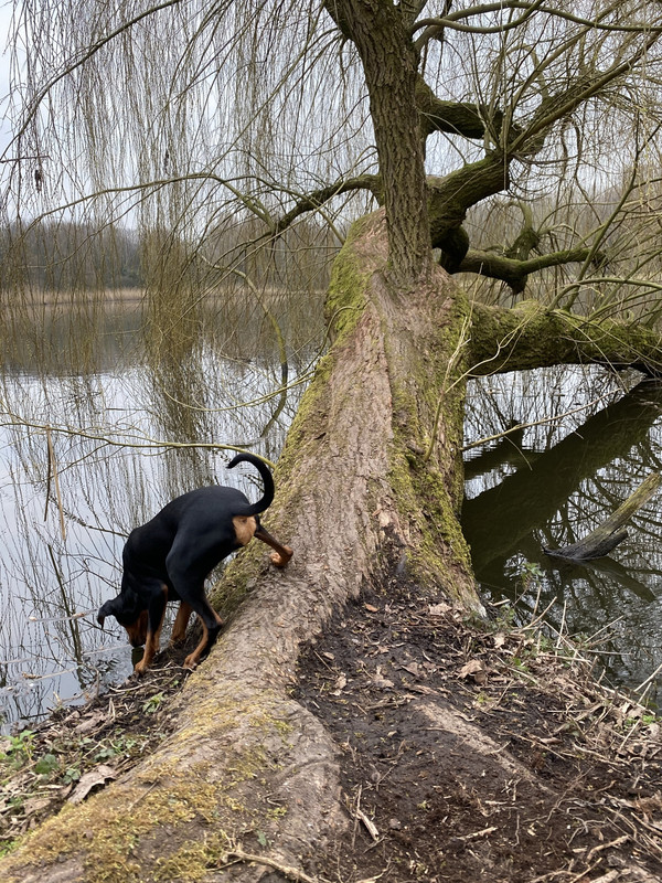 9CF31F55-EEB6-4CD0-82F8-E9E4C49AE153