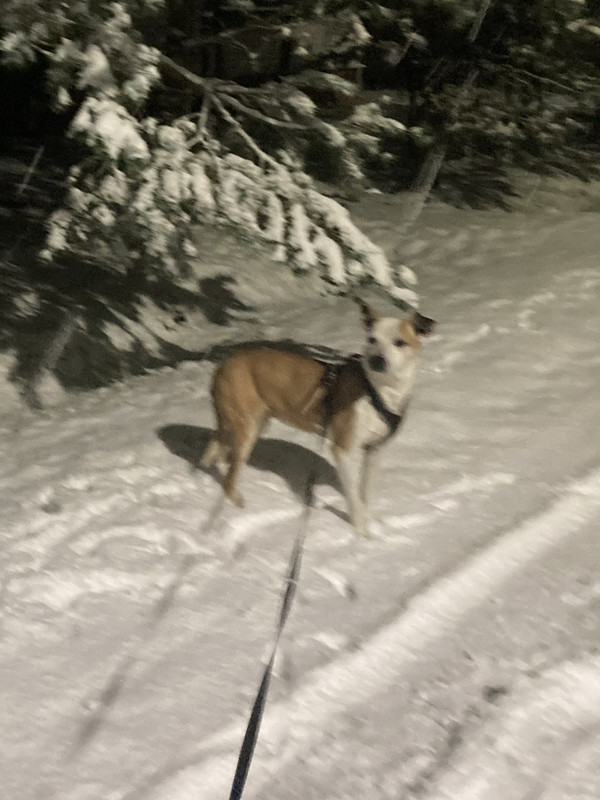 7569D79A-1532-41B1-B7AA-2E8F164273D9