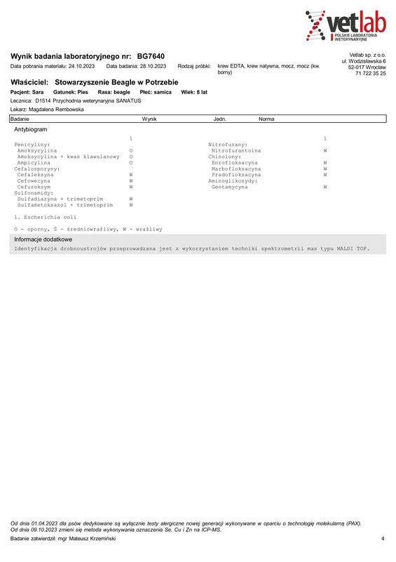 Stowarzyszenie Beagle w Potrzebie (BG7640)-1-4