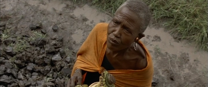 Nirgendwo In Afrika (2001) DVDRip.Dual.mkv 10