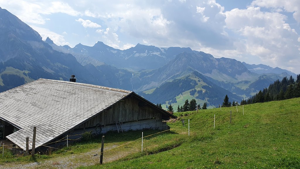 50 sombras del verde en Suiza y Alemania - Blogs de Suiza - ADELBODEN Y TSCHENTENALP...un columpio de altura (4)