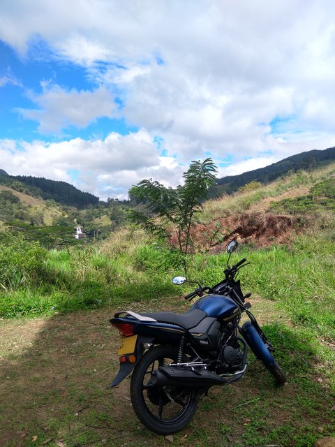 IMG-20230204-103225.jpg