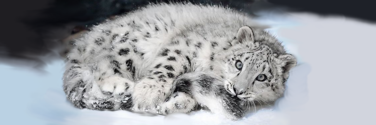 Без названия1171 20260311151837