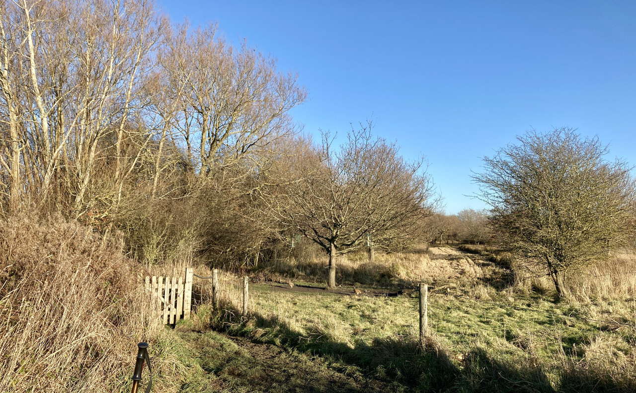 DB287450-E19B-4A36-9757-4043AED66083