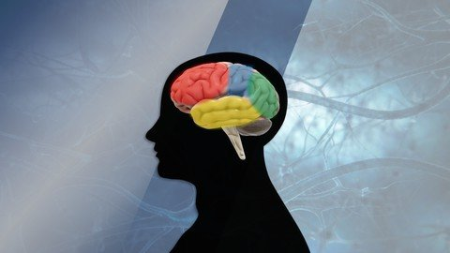 The Neuroscience Challenges of Organizational Change