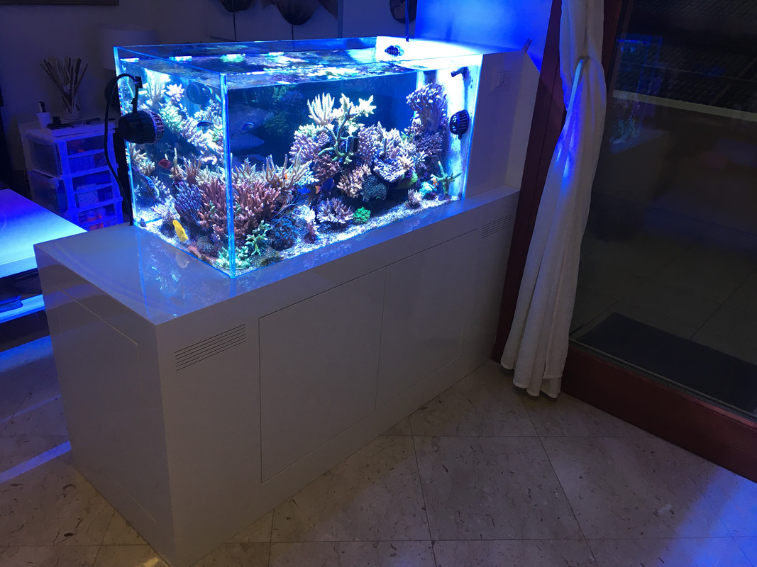 DB53B9CD-BF51-42F8-AD92-664FAE72FA34