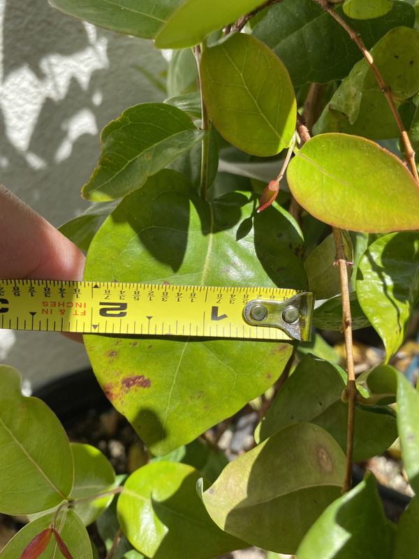 A0F27728-054D-47E6-AE80-731F5834F7DA