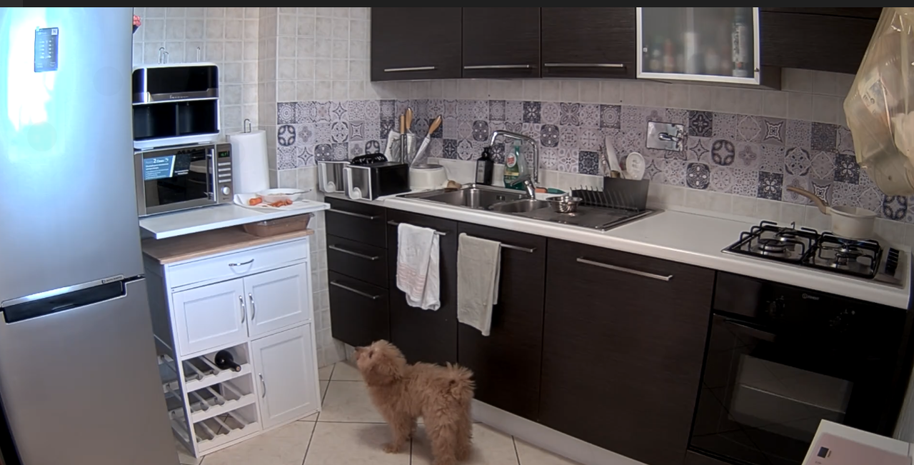 Capture d’écran (13)1