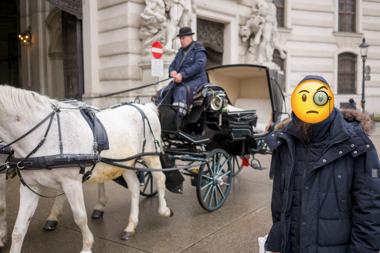 Whats App Image 2026 01 18 at 5 33 49 PM (1)